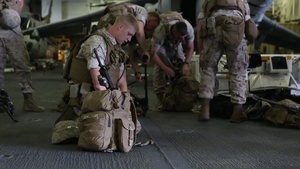 2/6 Marines During Exercise Bold Alligator 2014