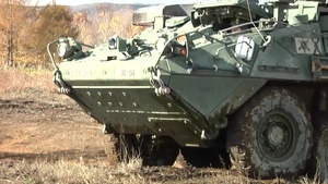Stryker Bridgade Combat Team