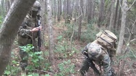 Exercise Bold Alligator: TRAP Mission