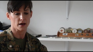 Bold Alligator 14; Coalition forces train for future operations