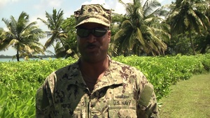 Cmdr. Henry Pierce IV