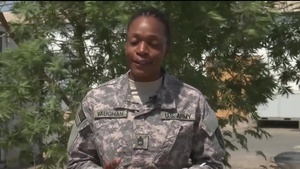 Sgt. 1st Class KIMBERLY VAUGHAN