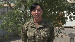 Petty Officer 3rd Class ASHLEIGH PANUNZIO