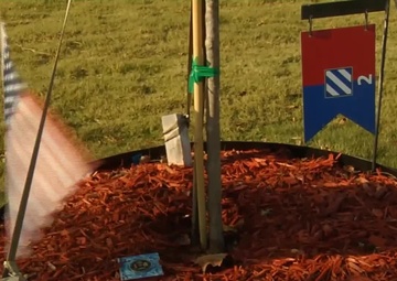 Army - Tree Replacement