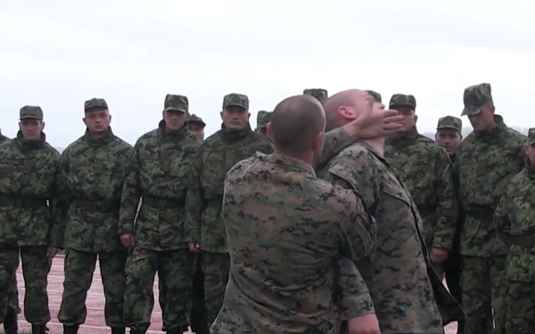 Keeping the Peace at Platinum Wolf