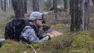 1-91 CAV Multinational Time-Sensitive Target Training