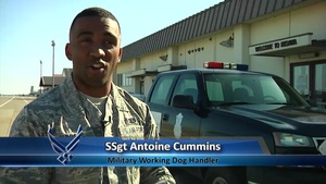 Air Force Report - December 3, 1014