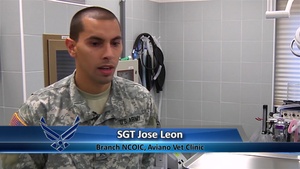 Air Force Report: Vet Clinic