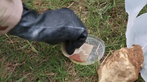 JGSDF and US Marines Train for Contamination Contingency