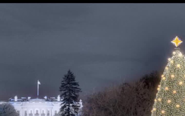 Christmas Tree Lighting