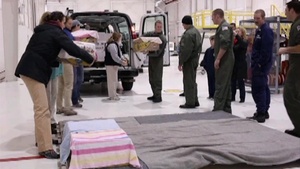 Coast Guard Helps Rescue, Transport 85 Endangered Sea Turtles