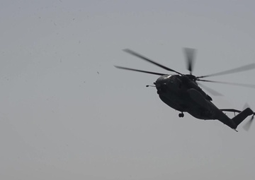 Cast and Recovery 2014