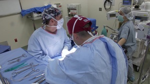 Veterinary Surgeon