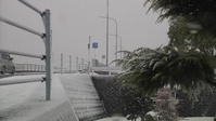 Record Snowfall in Iwakuni