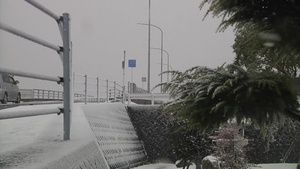 Record Snowfall in Iwakuni