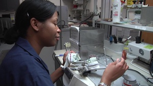 Dental Lab