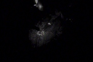 Coast Guard rescues two from grounded skiff near Sitka, Alaska