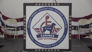 Dog Placement Ceremony