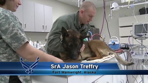 Air Force Report: Veterinarian Clinic