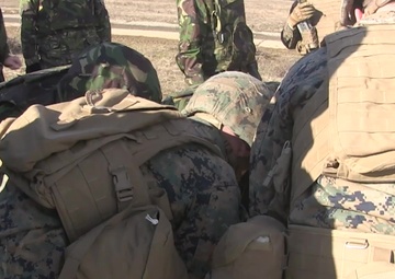 Platinum Lion 15 Primes 150115