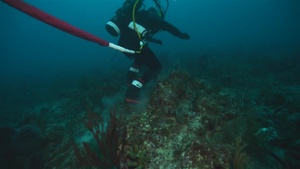 Joint UCT Diver Training