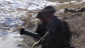 Marines Build Partnerships at Platinum Lion