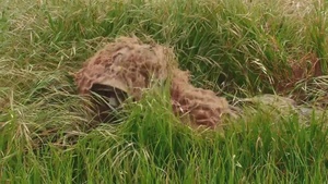 Exercise Iron Fist: Camouflage Techniques