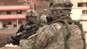 Soldiers Search For WMD's (B-roll)