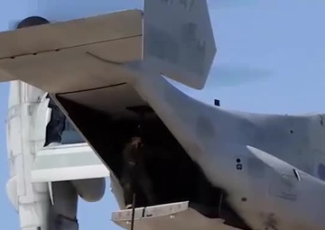 U.S. Marine Shares Experience While Deployed with Crisis Response Unit in Spain (Spanish)