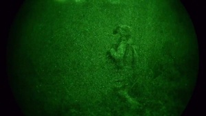 Company C, 1st Battalion, 503rd Infantry Regiment, 173rd Airborne Brigade Patrol at Longare Complex