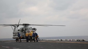 Cobras and Sea Stallions Landing