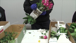 CBP Flower Inspection B-Roll