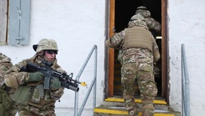 Georgia Deployment Program, Mission Rehearsal Exercise, Close Air Support Exercise