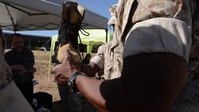 Warfighters Do More with Less