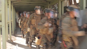 3rd Battalion, 7th Marine Regiment Embassy Reinforcement
