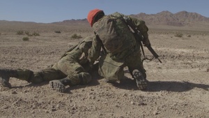 Iron Fist 29 Palms