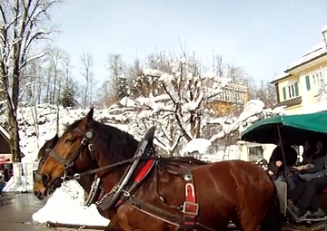 Backyard Adventure-Neuschwanstein Castle