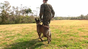 Relationship Boosts Training