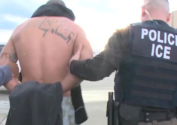 Operation Cross Check 2015