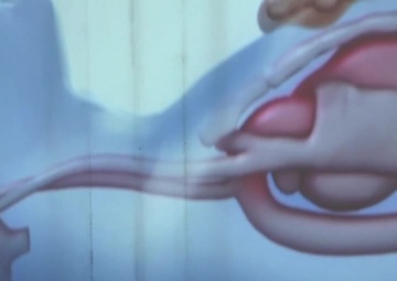 508th Military Police CPR &amp; AED Training