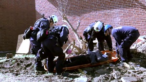 Vigilant Guard Search and Rescue