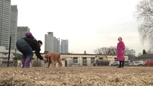 Yongsan Dog Park