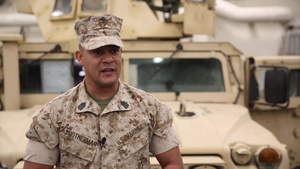 Marines Showcase Capabilities During Saint Patrick's Day Festivities