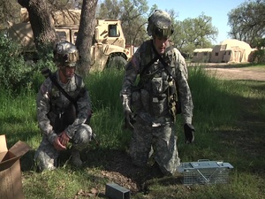 Combat Support Training Exerciser Preventive Medicine