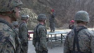 U.S. Marines Train in South Korean MWTC