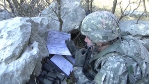 Slovenia Live Close Air Support