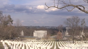 8600+ Trees Serve as a Living Memorial at Arlington National Cemetery