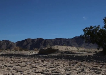 Integrated Task Force Riflemen Conduct Defensive Operations during MCOTEA Assessment