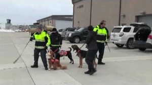 K9s train on Rhode Island National Guard UH-60 Blackhawks
