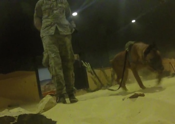 87th Security Forces Canine's Train at JT2DC